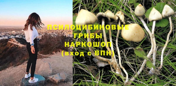 PSILOCYBIN Аркадак