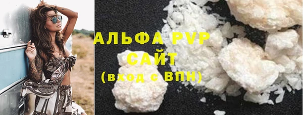 PSILOCYBIN Аркадак