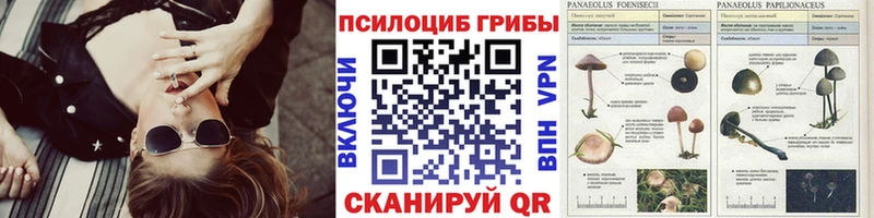 Галлюциногенные грибы мухоморы  наркошоп  Рузаевка 